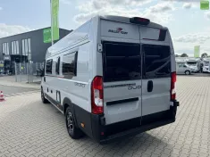 Bild 5 Roller Team LIVINGSTONE DUO SPORT
