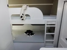 Fahrzeugbild Dethleffs c-go 465 KR up ATC, Duo-COntrol, 6 Schlafplätze #10